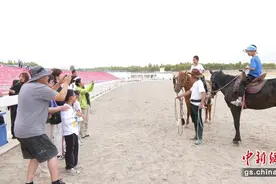肃北县周末避暑体验游活动喜迎八方游客图片