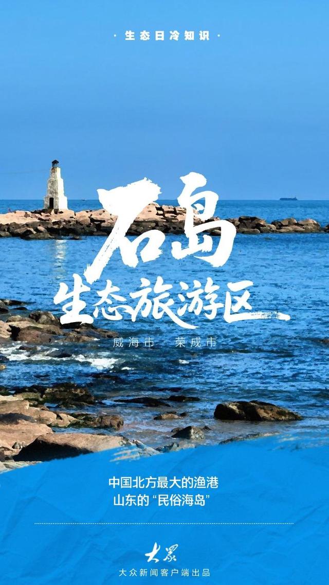 探访齐鲁大地的绿色“角落”：看看家门口的小惊喜
