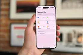 苹果密码应用漏洞被披露图片
