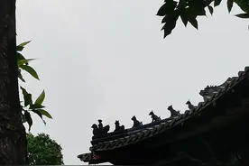 檀香悠悠忆“老爷”图片