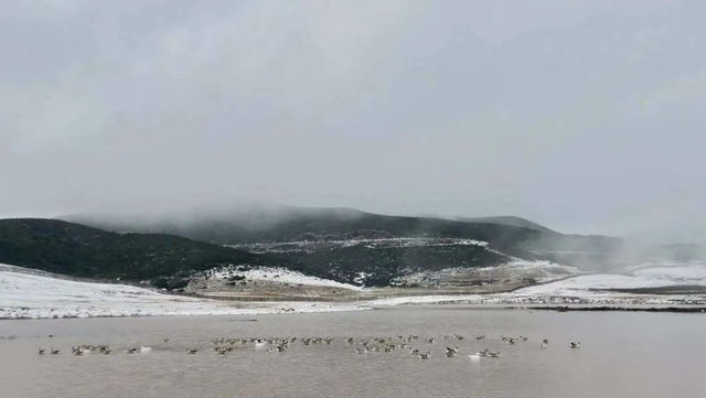 【冬季暖阳 凉山不凉】凉山谷克德：在云端雪境，赴一场川西冬日之约