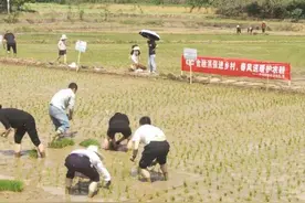 中华财险：多措并举护航春耕备耕 全力服务农业强国建设图片