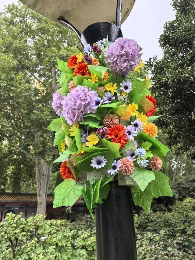 没有一朵花瓣能飘出洛阳