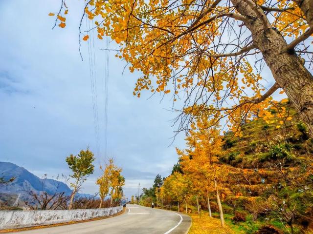 信宜这条“黄金走廊”很出片