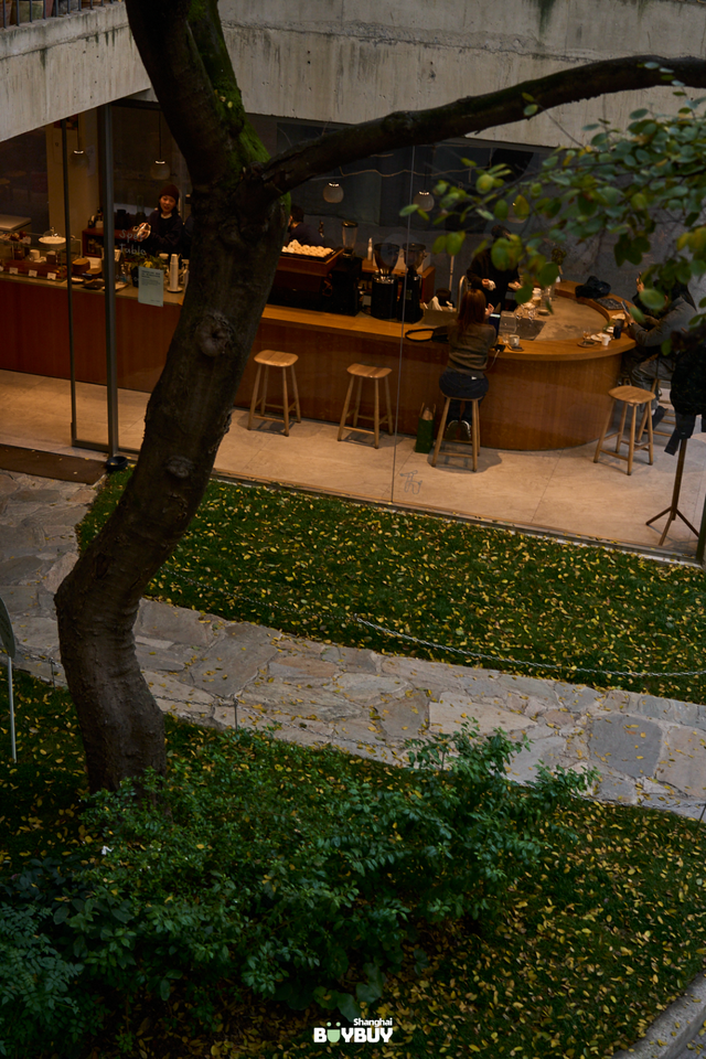 “今年元旦！我来静安只做1件事 ”