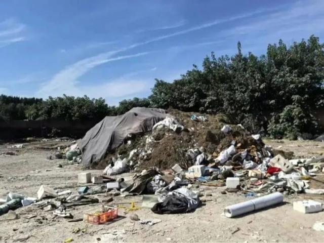 北京号最精彩｜赏菊+品宴！初冬的第一份浪漫就藏在这里→