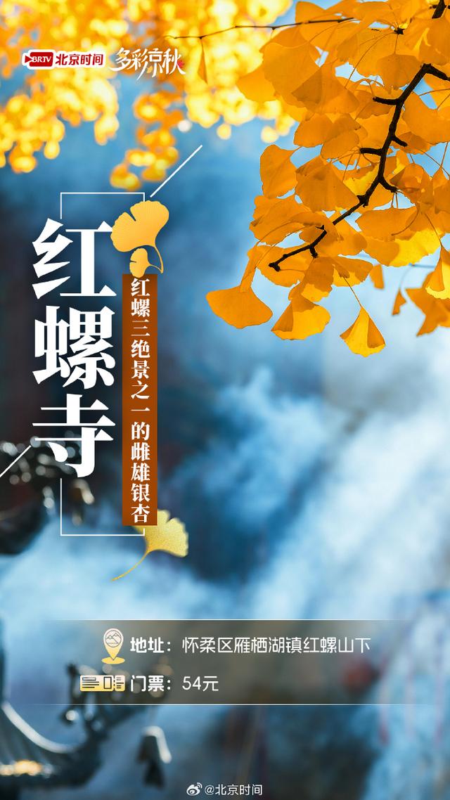 北京十大赏银杏好去处，这三处免费，您都去过吗？