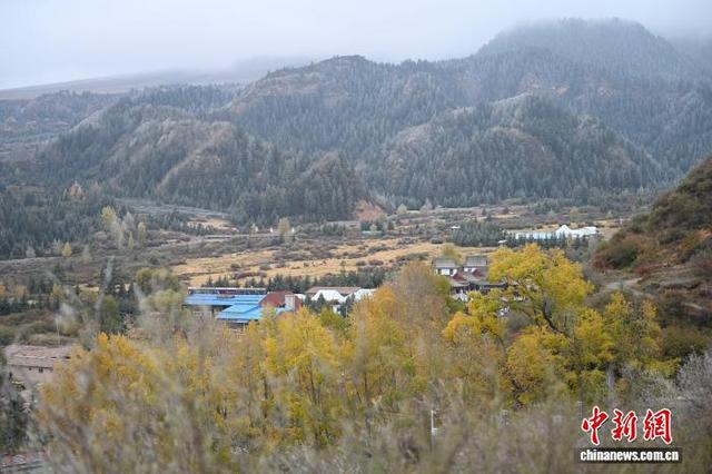 祁连崖壁间秋意尽染“千年古刹”马蹄寺