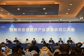 杭州成立低空经济产业联合会 咸亨国际等多家A股公司现身图片