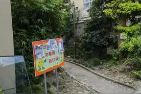 将垃圾分类进行到底④ | 绿化带上乱扔垃圾，几周过去这些小区有改善吗？图片