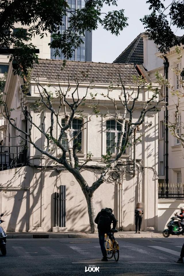 上海最美不过愚园路