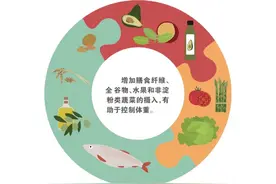 主食质量决定体重图片