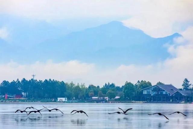 “绿水青山”圈粉各地游客 兰湖生态游受青睐