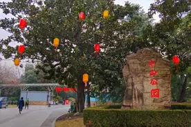百年中山公园“新春限定款”上线！这些点位别错过~图片