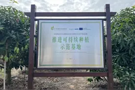 喜茶合作鲜果果园持续推进高品质种植，品质管理水平受认可图片
