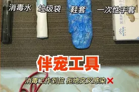 春节期间宠物上门喂养服务订单火爆，业内人士提醒：入行需慎重图片