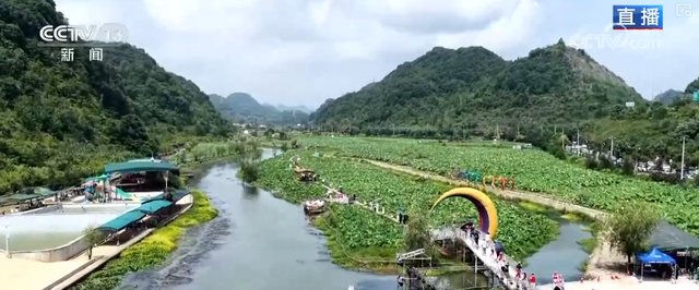 “凉爽+产业”拉动消费“花”样翻新，“荷”你相遇让老产业焕发新活力