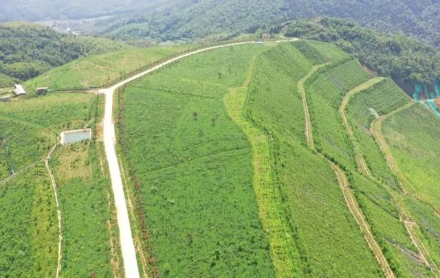 对比惊艳！合肥这些地方，大变样了