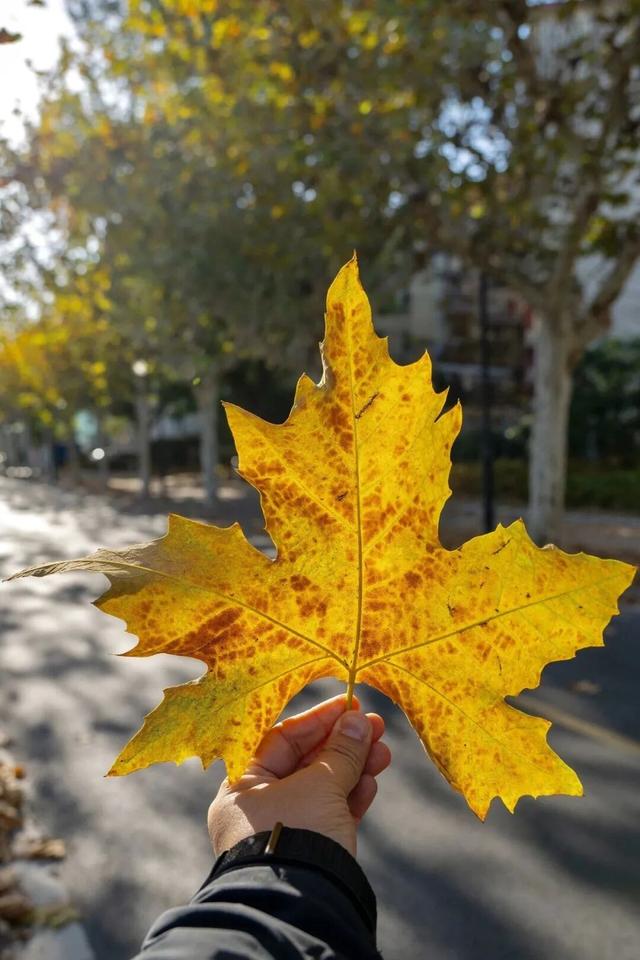 还有一周，快去打卡