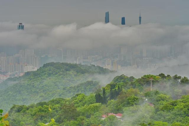 绿美云山丨以森林入药 漫享云山身心疗愈