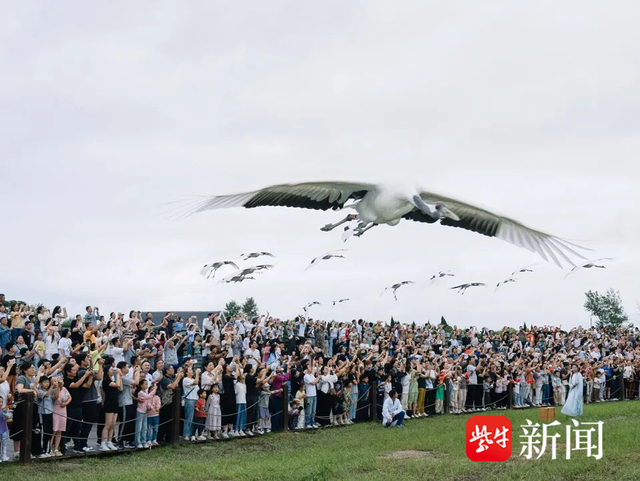 8天吸金13.65亿元！国庆中秋双节盐城文旅市场红火沸腾