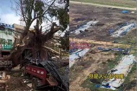 视频 | 一线直击：灾后的文昌翁田怎样了？视频封面
