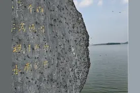 池州平天湖畔大量飞虫聚集 专业人士：摇蚊，不咬人也不致病图片