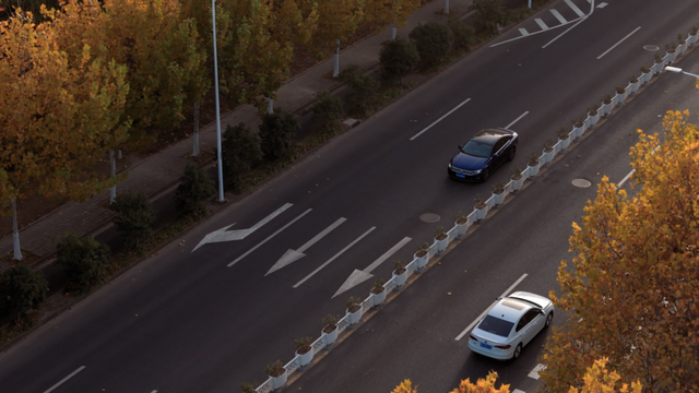 别眨眼！罗店马路秋色，一街一帧画正在限时上映