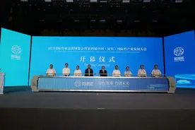 未来两年全行业年产值有望突破7000亿 四川宜宾紧抓竹产业发展新机遇图片