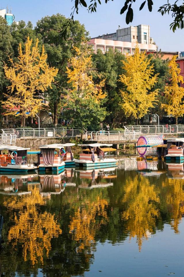 宜宾，含“金”量超高！