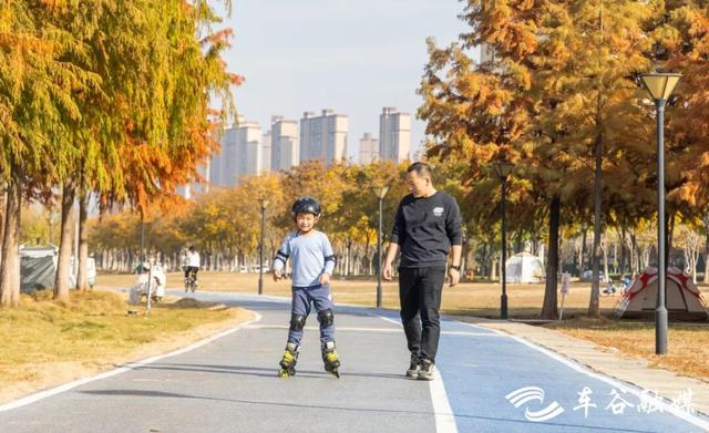 橙黄橘绿时 武汉经开区斑斓如画