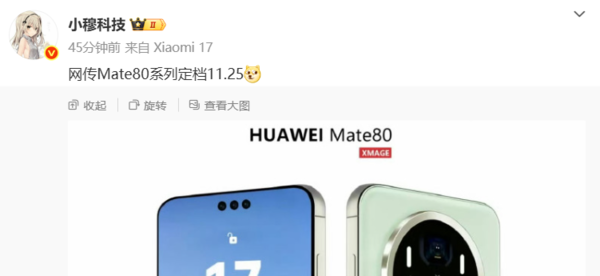 11月25日发布？华为Mate 80外观图曝光：大圆模组设计