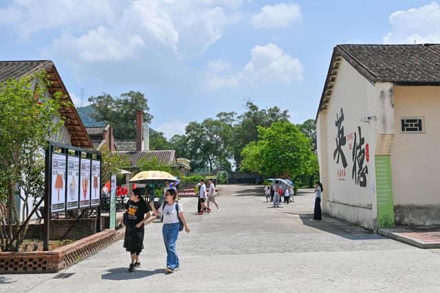 茶香漫溢山间！英德特色化发展刷新“文旅流量”