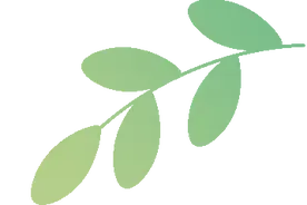 春菜上桌，中医春季养生“食”不可挡图片