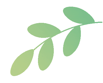 书圣故里现“绍兴版爱心树”