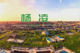 杨凌：16条“硬措施”打造农业新质生产力策源地图片