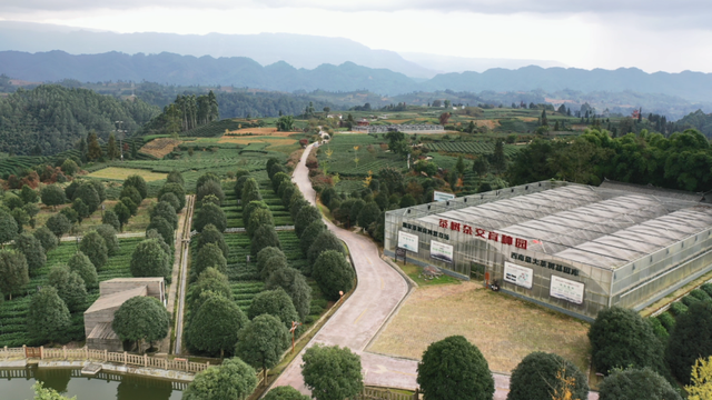 全川“秋假”看名山！这份“亲子游”全攻略，承包你的诗与远方！