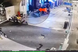 野猪突现！和老板对视后直冲早餐店店门！店老板：幸亏玻璃门结实图片