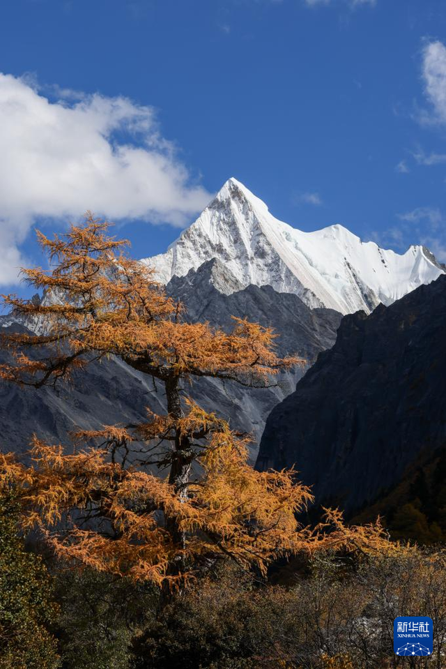 美丽中国丨穿越冰峰 遇见稻城亚丁