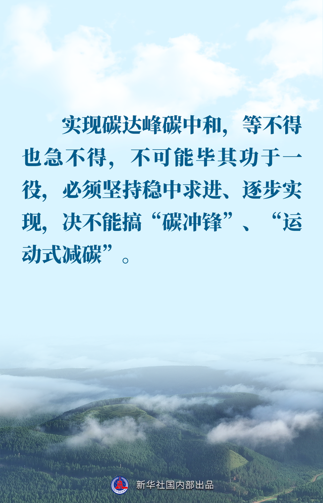 金句｜推进生态文明建设，总书记作出重要论述