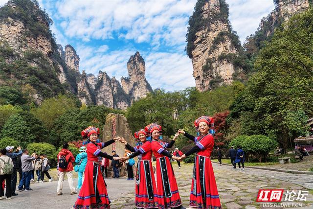 【每日一图@湖南】秋冬自驾必冲！张家界黄石寨暖阳峰林美到出圈