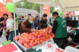 开好“直通车” 把稳“菜篮子” 西安蔬菜直通车惠民工程护航社区居民“舌尖上的幸福”开业图片