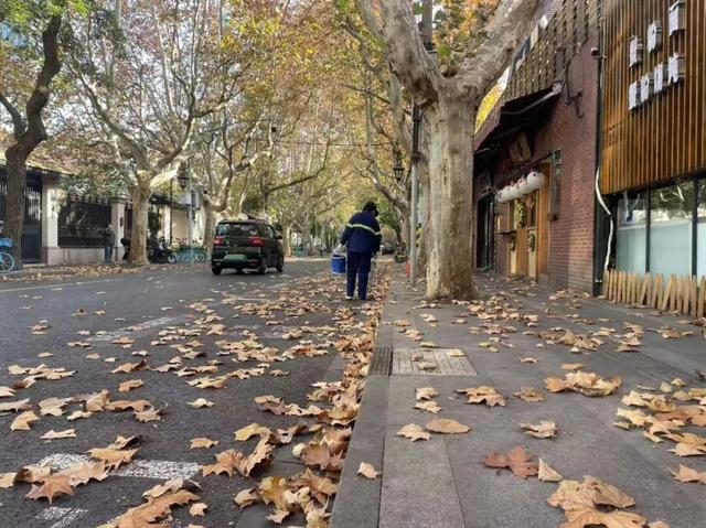 别错过，用Citywalk感受落叶的浪漫→