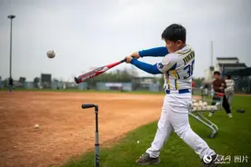 浙江平湖：乡村里的棒球少年图片
