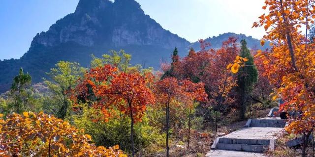 亮相央视！洛阳这些赏秋地，太美！