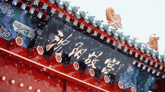 沈阳文旅宣布，免费送票！