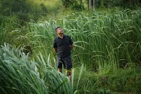 陈晓卿：中国传统味道寻根，总会与中原邂逅｜顶端访谈图片