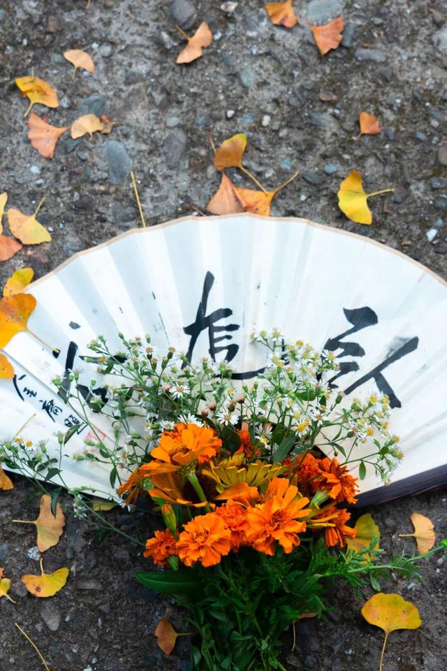 “秋假”第一站！上饶把最美的颜色，“晒”给你看