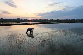 非虚构写作|墨刻的时光图片
