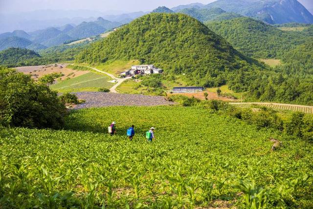利川云雾山：日月绣岭结仙梁